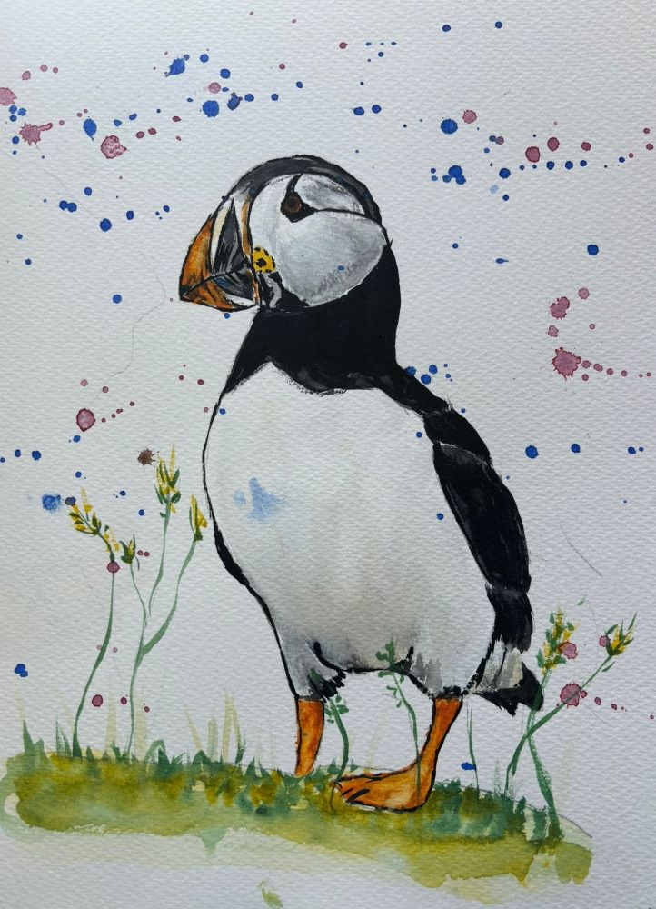 Painting of Puffin
